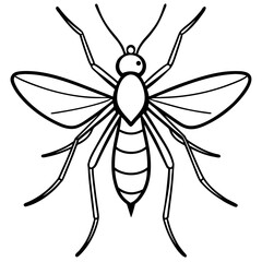 Gnat line art vector