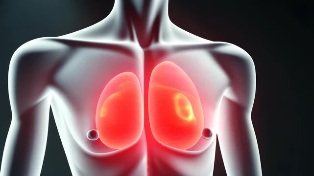 endocrine, hormone regulation, thyroid health. Gland function. Adrenal secretion boosts metabolism. Pancreas insulin controls glucose levels. Thymus activity supports immune defense.
