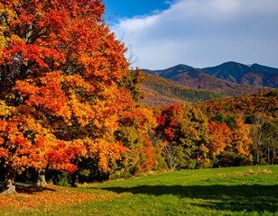Autumn foliage in a mountain valley (1)