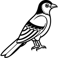 Cuckoo line art vector