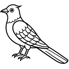 Fototapeta premium Cuckoo line art vector