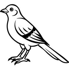 Cuckoo line art vector