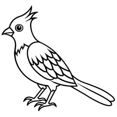 Obraz premium Cuckoo line art vector