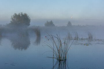 fog on the lake