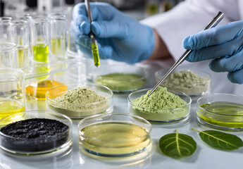 In a laboratory setting, researchers conduct natural cosmetic studies utilizing petri dishes, lab glassware, and various mediums, including clay powder and green leaves, to test efficiency through in