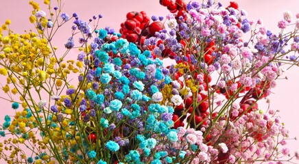 Gypsophila flowers in one bunch on a monochrome background. Bouquet of colorful gypsophila. Plenty...