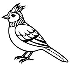 Kinglet line art vector