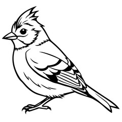 Kinglet line art vector