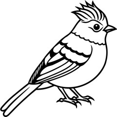 Kinglet line art vector