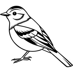 Kinglet line art vector