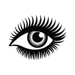 human eye vector
