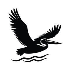 Obraz premium dove of peace