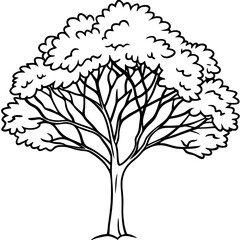 Eastern Redbud line art vector