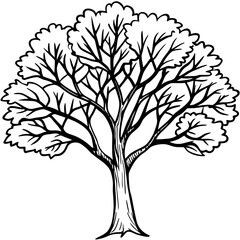 Obraz premium Eastern Redbud line art vector