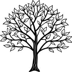 Eastern Redbud line art vector