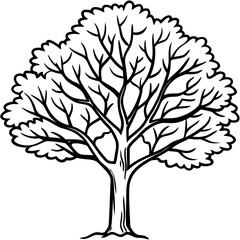 Obraz premium Eastern Redbud line art vector