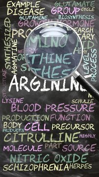 Arginine being studied, examined - under close inspection. Most important subjects and ideas closely related to arginine written on a blackboard inspected by a magnifying glass. Can be looped