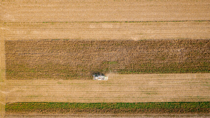 Aerial view on combine, harvester machine, harvest ripe maize