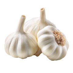 Fresh Garlic Bulbs Isolated on Transparent Background for Culinary Use