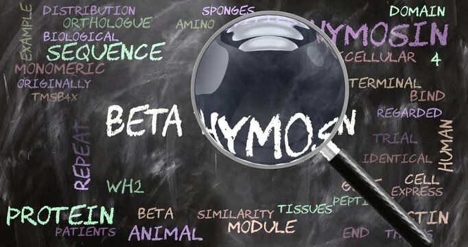 Beta Thymosin being studied, examined - under close inspection. Most important subjects and ideas closely related to beta thymosin. Can be looped