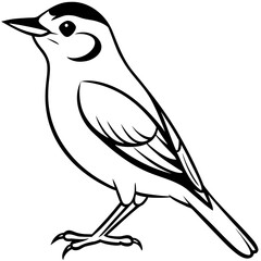 Obraz premium Nuthatch line art vector