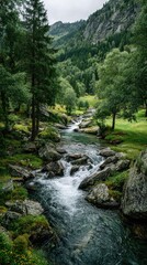 Obraz premium Mountain stream flowing through lush valley
