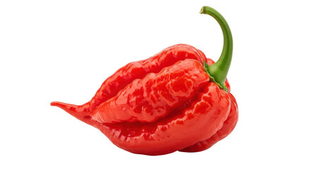 Isolated Red Ghost Pepper