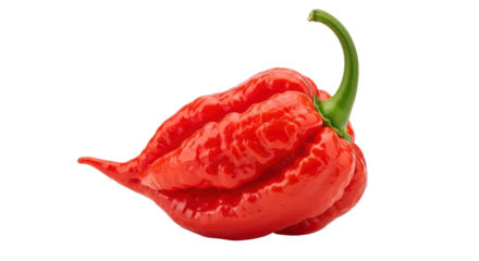 Isolated Red Ghost Pepper