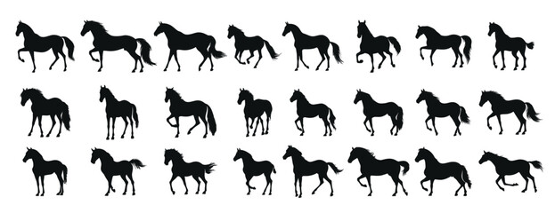 set of silhouettes of horse. horses standing. isolated on transparent background. 