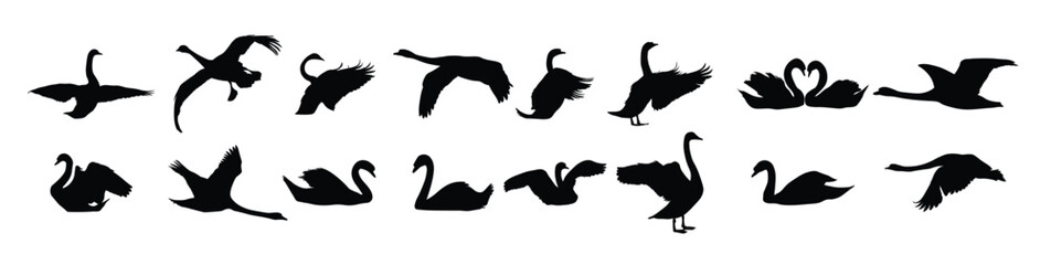 swan silhouettes vector illustration set
