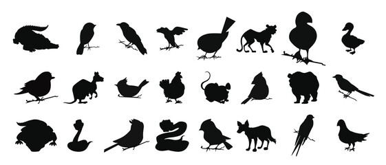 Zoo Animal Silhouettes vector