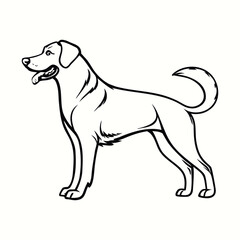 dog