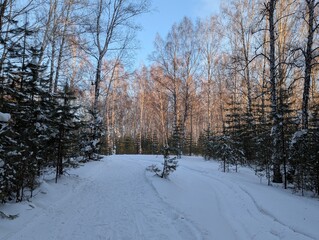 winter in the park