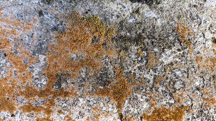 Aged concrete wall surface full of dirt and cracks. Excellent for architecture texture packs or...