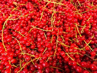 Red Currants Close-Up on Market – Fresh Summer Berries