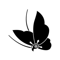 片喰紋・片喰飛蝶（かたばみとびちょう）