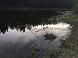 reflection in the river
sunset in the forest and large dark trees against the bright sunset sky with pink clouds