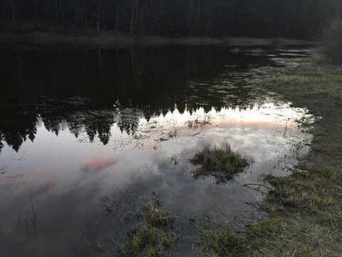 reflection in the river
sunset in the forest and large dark trees against the bright sunset sky with pink clouds