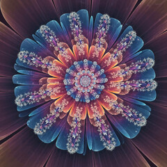 Kaleidoscope Mandala Floral Pattern
