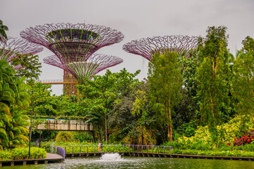 Fototapeta premium Supertrees at Gardens by the Bay. The tree structures are fitted with environmental technologies