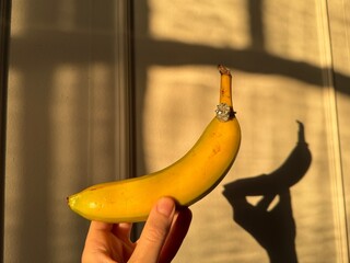 Landscape photo showing a close up of an oval diamond engagement ring beside a banana, highlighted...
