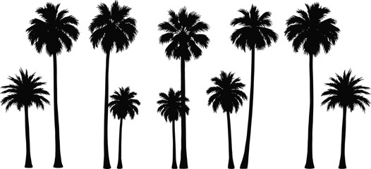 Palm tree silhouette illustration, tropical beach landscape, exotic summer nature scene, black vector palm design, vacation travel concept, coastal paradise art