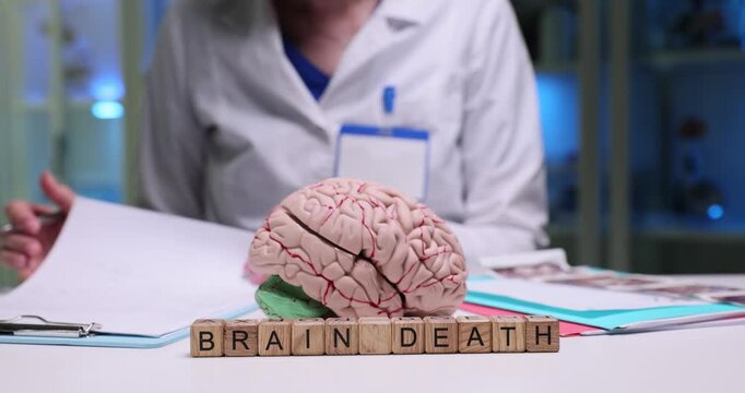 Delve into the intricate concept of brain death through comprehensive visuals set within a clinical environment