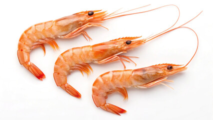 Fresh Shrimps &ndash; Seafood Photography, Prawns Close-Up, Seafood Ingredient, Ocean Food, Shrimp Photography, Fresh Prawns, Shrimp Macro, Seafood Market, Shrimp Background, Healthy Food, Raw Seafood, Shri