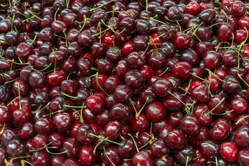 Fresh cherries piled high showcasing the bounty of summer harvest. Glossy red cherries arranged in abundance at a local market. Juicy cherries symbolizing the sweetness and richness of life.