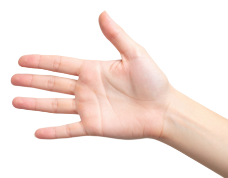 Realistic Human Hand Pointing Up, isolated on a transparent background