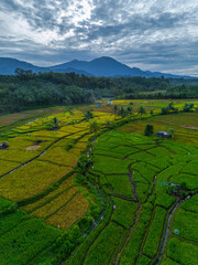 Obraz premium Beautiful morning view indonesia panorama landscape forest with beauty color and sky natural light