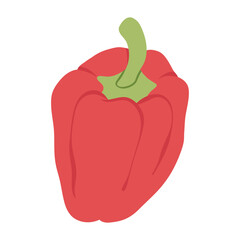 Bell pepper vector illustration. Red bell pepper in a simple flat style. Hand drawn sweet pepper organic vegetable. Autumn harvest vegetarian plant food isolated on a white background.