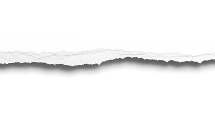 Torn and ripped grunge paper sheet with a blank space for your design