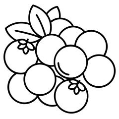 Minimal blueberry cluster line art with neat lines